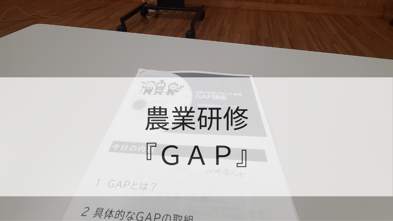 農業研修『GAP』って何！？